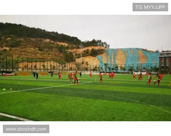 北京羽毛球队迎来节奏变革引发热议新策略助力竞技水平提升