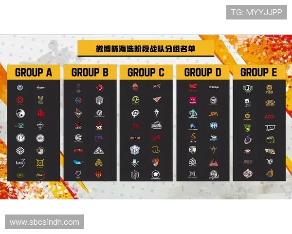 Virtus.pro绝地求生战队重组全解析 新阵容如何迎接未来挑战